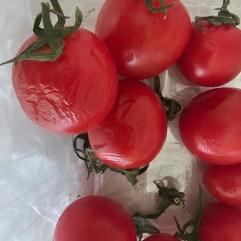 Migros Ayvalık Ürünler Bozuk