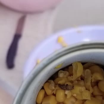 BİM Marketten Aldığım Ta Da Marka Mısır Konservesinden Tırtıl Çıktı