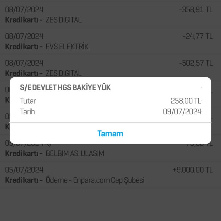 HGS De Bakiyem Görünmüyor İhlali Geçiş Cezası Veriyor