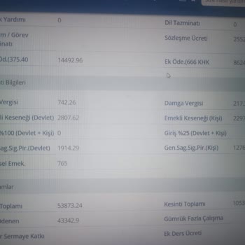 Türkiye Hayat Emeklilik BES İptal Etmeme Rağmen Hala Para Kesiyor