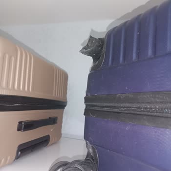 Ajet Hasarlı Bagaj Ve Çözümün Sağlanmaması