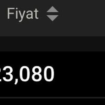 VakıfBank Hisse Senedi Maliyetini Yüksek Almak