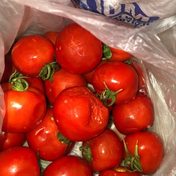 Mopaş Çürük Sebze Getirdi Ve Geri İadesini Almadı