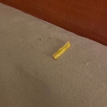 Club Pınara Otel Vasat Bir İşletme