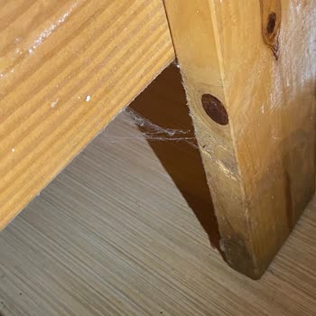 Club Pınara Otel Vasat Bir İşletme