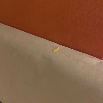 Club Pınara Otel Vasat Bir İşletme