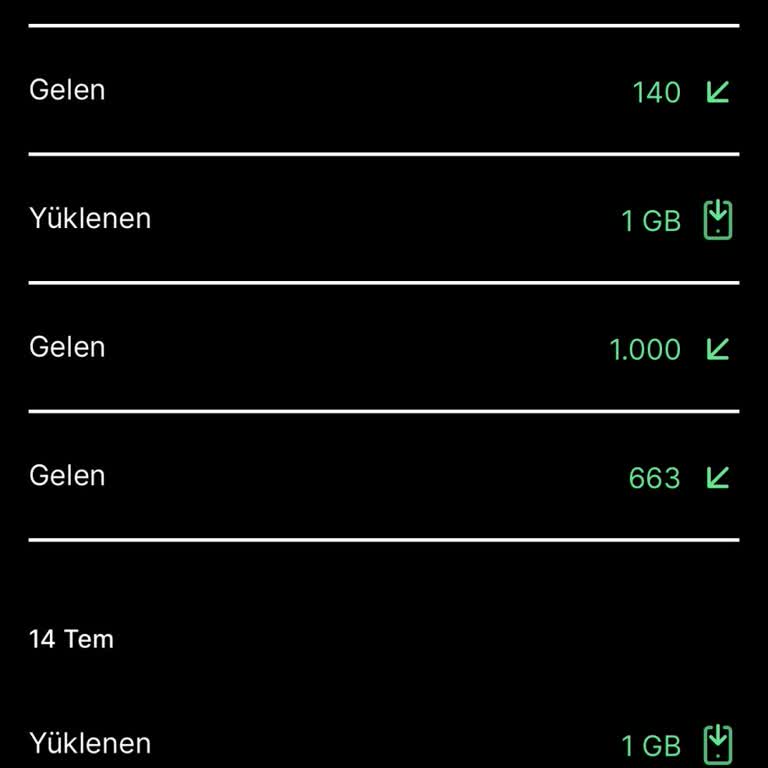 Kim GB İster İnternet Usulsüzlüğü Hakkında.