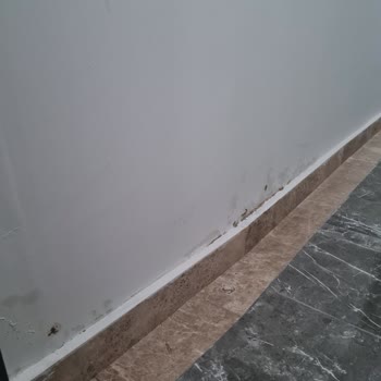 Zeray İnşaat Yeni Projede İlgisizlik Sorunları