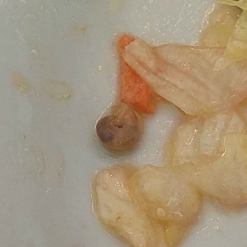 Köfteci Ramiz Cağaloğlu Yemekte Salyangoz Çıktı