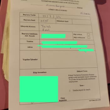 İBB - İstanbul Büyükşehir Belediyesi Beyaz Masa'nın Ve Yaralı Sokak Kedisine Geç Müdahalesi