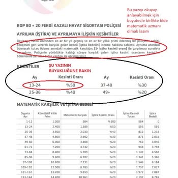 Viennalife Emeklilik Ve Hayat Bütün Emeklerimi Hiç Etti!...