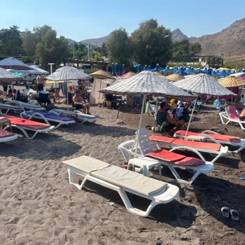 Bodrum Belediyesi Bodrum Sahillerindeki Haksız Kazanç Ve Plaj Kullanımı