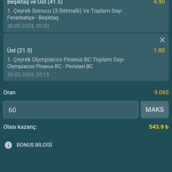 Nesinecasino Güvenilmez Yatırımlarınız!