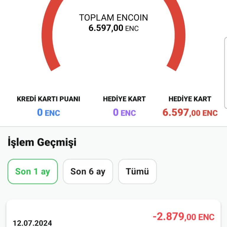 Enuygun.com'da İptal Edilen Rezervasyonun Geri Ödemesi Yapılmıyor