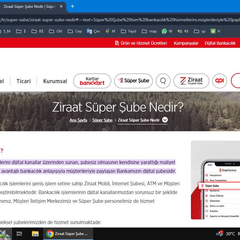 Ziraat Bankası Mobil Şube Üyeliği Hayal Kırıklığı