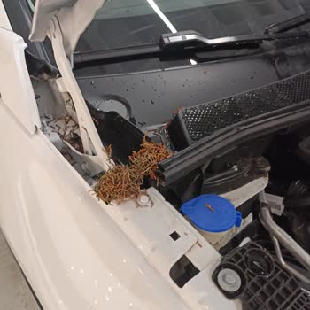 Opel Mar Oto Araç Teslimat Fiyaskosu