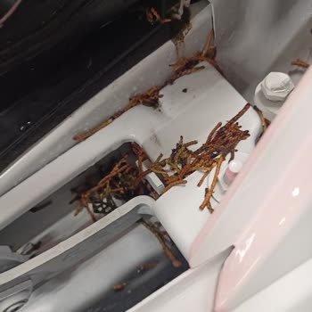 Opel Mar Oto Araç Teslimat Fiyaskosu