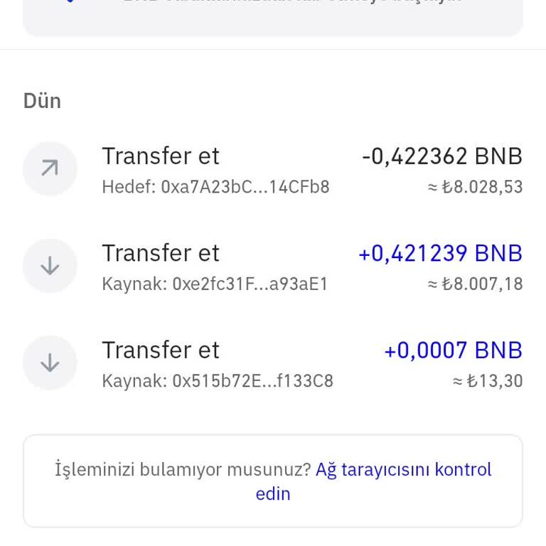 Trust Walleta Transfer Ettiğim Para Kayboldu!