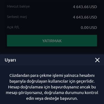 Virtartech Hesabıma Erişemiyorum Ve Destek Alamıyorum