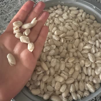 BİM Saban Marka Kuru Fasulye Pişmanlık