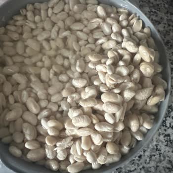 BİM Saban Marka Kuru Fasulye Pişmanlık