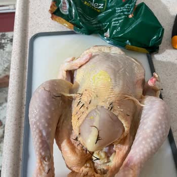 Bolez Piliç Bolez Köylüm Tavuk