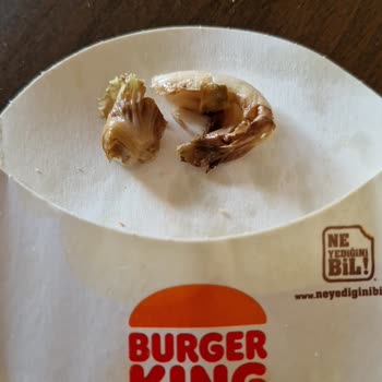 Tıkla Gelsin Burger King Sipariş Eksikliği Ve Çürümüş Yeşillikler