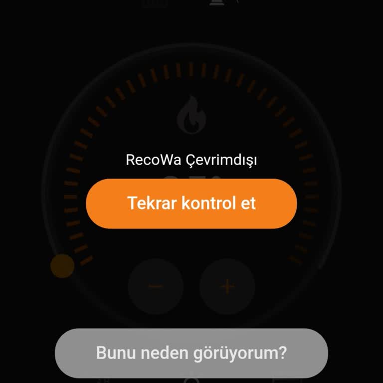 Warmhaus Ve Recowa Pişmanlığı
