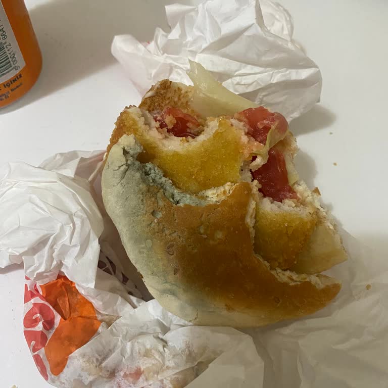 Burger King Küflenmiş Hamburger Ekmeği