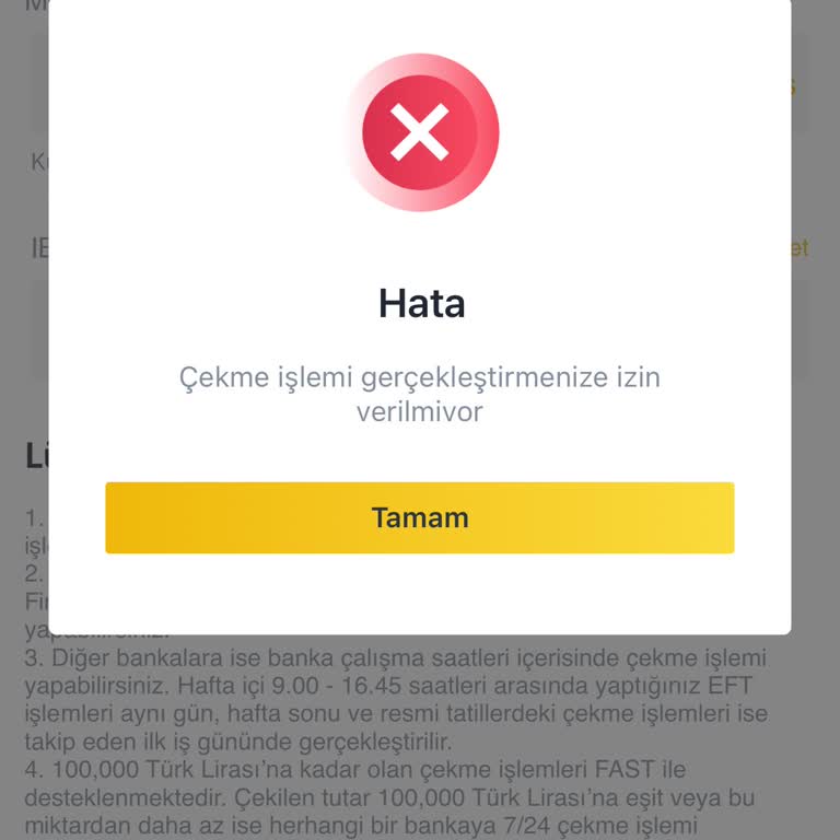 Binance TR Paramı Kısıtladı Ve Çekim Yapmama İzin Vermiyor