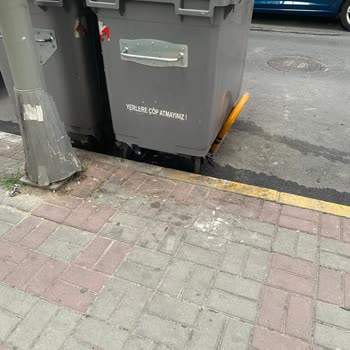 Güngören Belediyesi Çöp Konteyneri Ve Personel