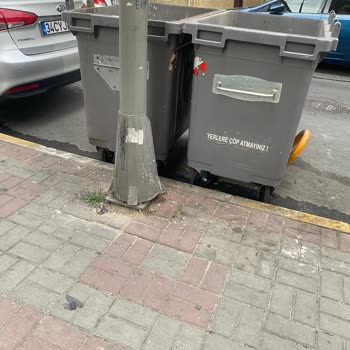 Güngören Belediyesi Çöp Konteyneri Ve Personel