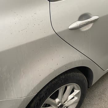 Güngören Belediyesi Çöp Konteyneri Ve Personel