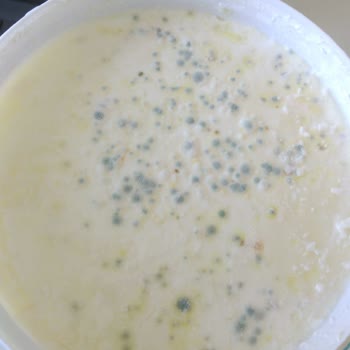 A-101 Kapıda Uygulamasında Bozuk Yoğurt Ve Yetersiz Müşteri Hizmeti