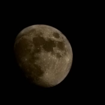 Samsung Telefon Güncellemeden Sonra S22 Ultra Kamera Bozuklukları