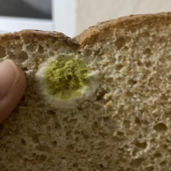 A101 Şubesinde Küflü Ekmek Sorunu