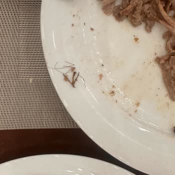 Crystal Hotels Crystal Tat Beach Otel Yemekten Böcek Çıktı!