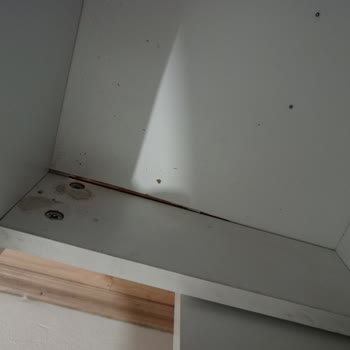 Evdiz Kapaklı Şubesi Müşteri