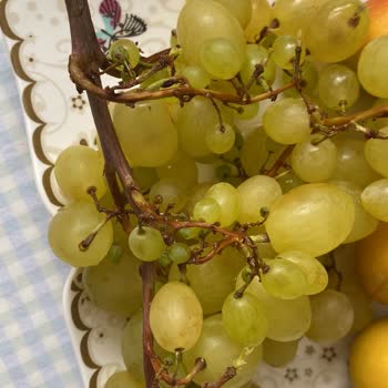 Carrefour SA Onlinedan Yaptığım Çürük Sebze Meyve Alışveriş Fiyaskosu