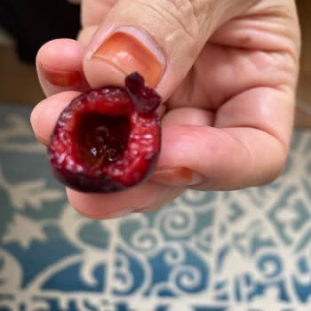 Carrefour SA Onlinedan Yaptığım Çürük Sebze Meyve Alışveriş Fiyaskosu