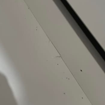 Bellona'dan Aldığım Yavru Yatak Çatlak Ve Hala Değişim Yapılmadı