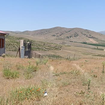 Niğde Belediyesi Ev Var Sokak Yok!