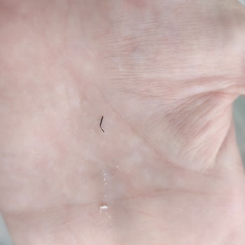 Tarım Kredi Kooperatif Market Tarım Kredi Tulum Peynirinden Çıkan Ne Olduğu Belirsiz Şey