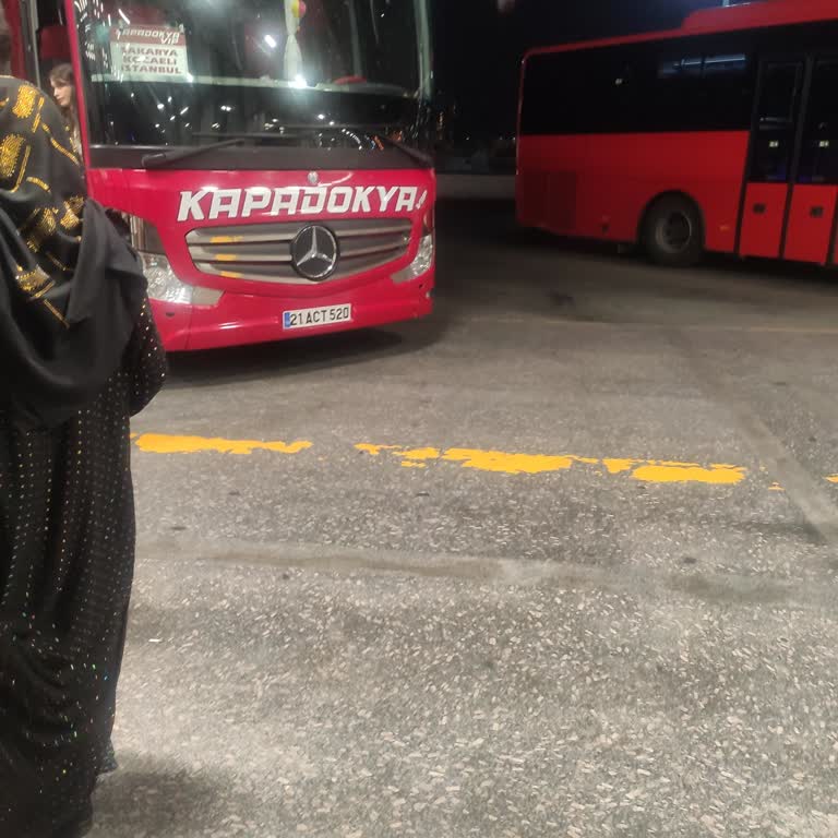 Kapadokya Vip Turizm Kapadokya Vıp Markasındaki Şahsın Yalan Söyleme Rahatlığı