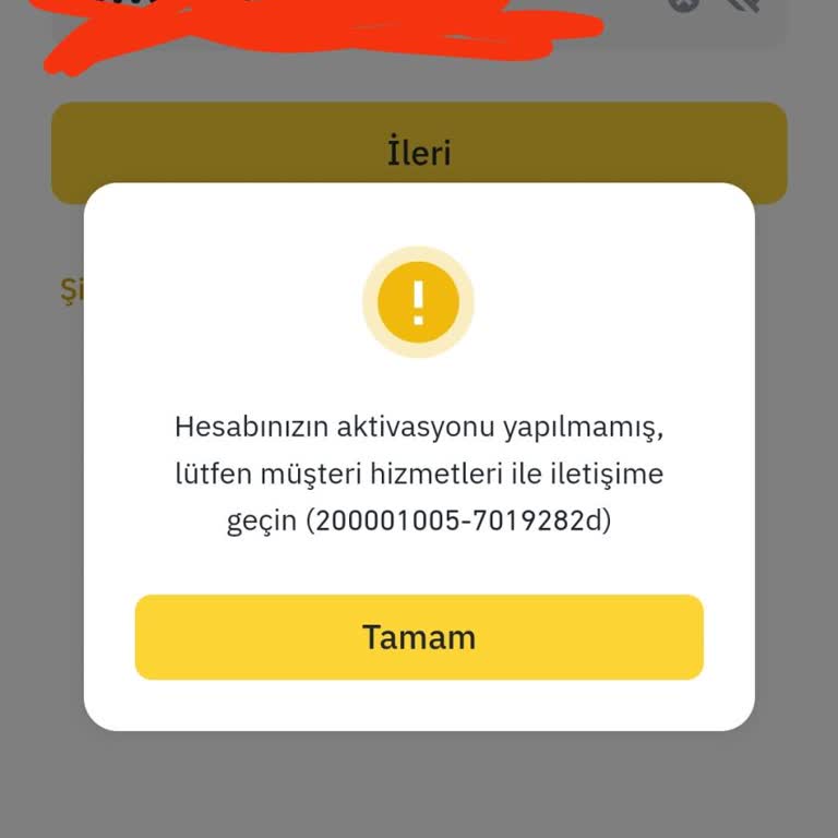 Binance Global Hesabıma Giremiyorum
