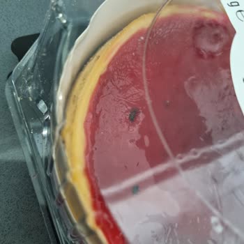 Özsüt Cheesecake İçinden Sinek Çıktı