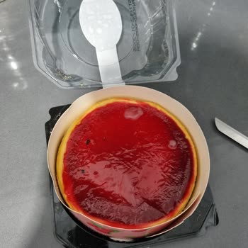 Özsüt Cheesecake İçinden Sinek Çıktı