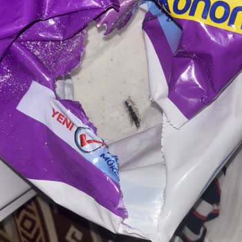 Peros Deterjan İçinde Çıyan