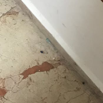 Fırat Üniversitesi Hastanesi Elazığ Araştırma Hastanesi'nde Hijyen Ve İlgisizlik Sorunu