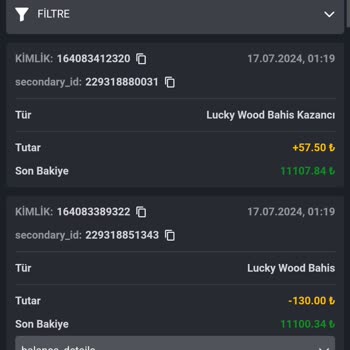 12Numara Bahis Ödeme Sorunu Ve Hesap Bakiyesi Hakkında Şikayet